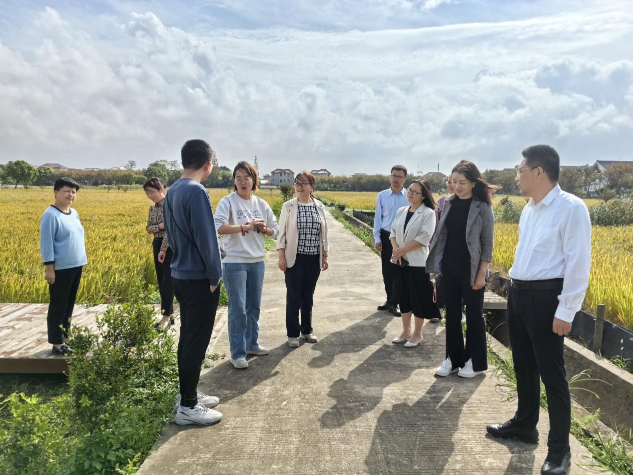 微信图片_20241017170718